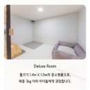 포플레이스 | 평택 애견호텔 포플레이스 내돈내산 후기