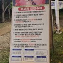 불갑사 | [영광 가볼만한 곳] 불갑사 상사화 축제 후기 / 가을 꽃축제 추천 / 전국 최대 규모 꽃무릇 군락지