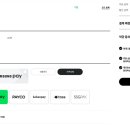네이버페이,토스,카카오,ssg페이 313100원 구해요 이미지