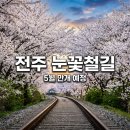 비와이씨전주1공장주 | 전주 팔복동 이팝나무 철길 5월 만개 예상 시기와 주차장 이용 방법
