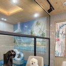 청도타임리스풀빌라 이미지