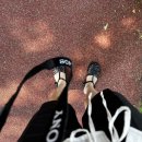 장일셀프타운 이미지