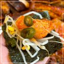 황금코다리 이미지