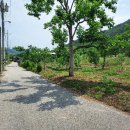 신촌리 이미지