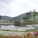 도담골 호반마을 이미지