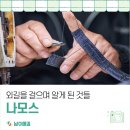 나모스 이미지