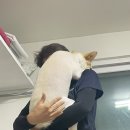 하옥계곡별빛민박 이미지