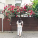 지에스25 성산사울점 네이버블로그