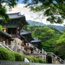 정선목장 이미지