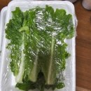 대구 광어회 포장 전문 한려수도 회 타운 후기