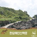 애월한담 민박 이미지
