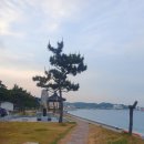 양남시장 화장실 이미지