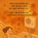 스파젠 이미지