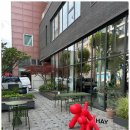 디자이너와 브랜드 라이프스타일 &amp; 리빙가구 편집샵&#34;루밍(Rooming)&#34;쇼룸 매장 방문 및 솔직 리뷰 후기