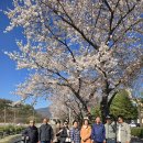 스마트폰 활용 B반 단채사진 이미지
