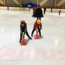 경희대 박사 Tiger kicks 태권도 이미지