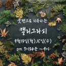 [zoom]붓펜으로 치유하는 캘리그라피 이미지