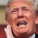 이슬람의 눈으로 본 세계사 이미지