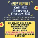 올라점핑다이어트