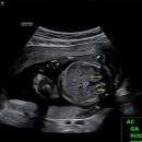 김건우 산부인과의원 이미지