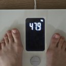 안메드 | 슬림메드 다이어트 ,혈당스파이크방지 솔직후기!