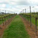 일도농장 이미지