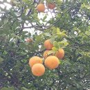 웰부동산중개사무소 이미지