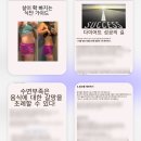 라이프발란서