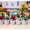 또래뜰어린이집 이미지