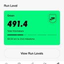 캘리중급 | 1년간의 러닝기록,부상후 휴식 그리고 리스타트