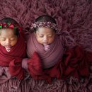 쌍둥이사진관 이미지