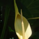 동미농장 이미지