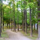 부평공원 이미지