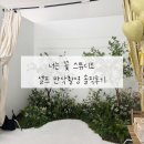 📸[내돈내산] ‘너는 꽃 스튜디오’ 셀프 만삭사진 후기 🌸