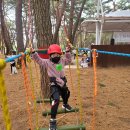 ＜가족참여행사＞ 🌳가족과 함께 서숲에서🌳-산새소리반- 이미지