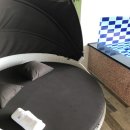 적시라 이미지