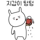 서초동 골프연습장 코오롱스포렉스 서초점 실외골프 연습장
