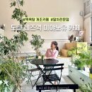 현대목욕탕 | [도쿄] 네즈역 현지인 카페 70년 목욕탕을 개조한 느좋카페 미야노유 MIYANO-YU 말차전문점