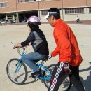 양지초등학교2 이미지