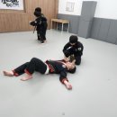 미래합기도 3관 이미지