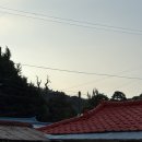 포레스트 | 청주 촌캉스 숙소 추천 | 월오포레스트 후기(강추⭐️)