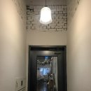 다노이218 이미지