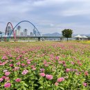 하천(갑천3) 이미지