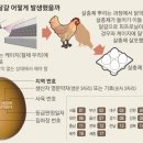 서영2농장 이미지