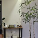 송당미학 이미지