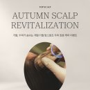 대경프라자(탑빌딩) | 마포 탑스칼프 | 마포 두피관리 탈모관리