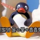 또이 이미지