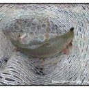 자연농원 이미지