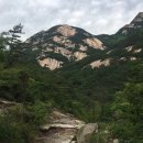 산들애 보리밥 이미지