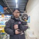 왕초네 | 가락시장 가락몰 온달수산 백설공주회 구성 솔직후기 왕초네 산오징어 내돈내산